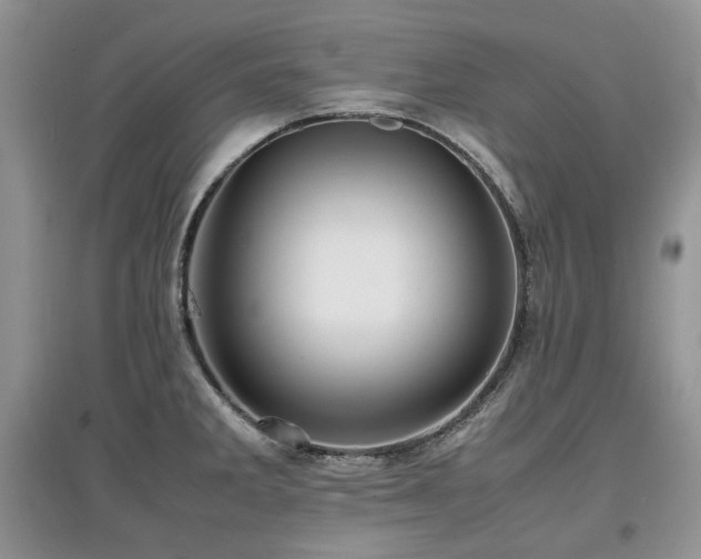 X0000097841285200803141159