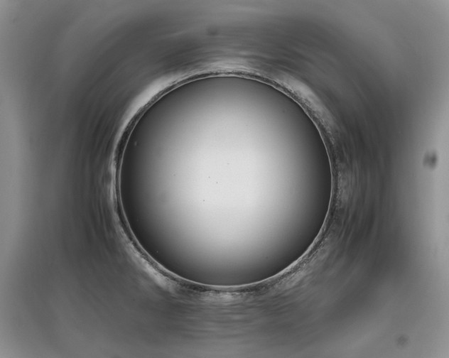 X0000097841286200803141159