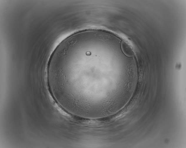 X0000097841287200803141159