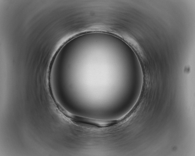 X0000097841288200803141159