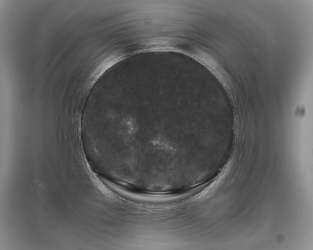 X0000097841289200803141159