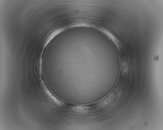 X0000097841290200803141159