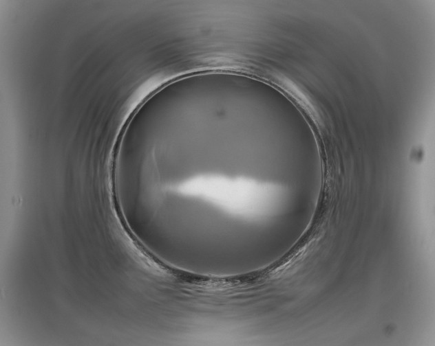 X0000097841291200803141159