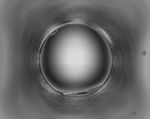 X0000097841292200803141159
