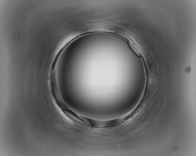 X0000097841293200803141159