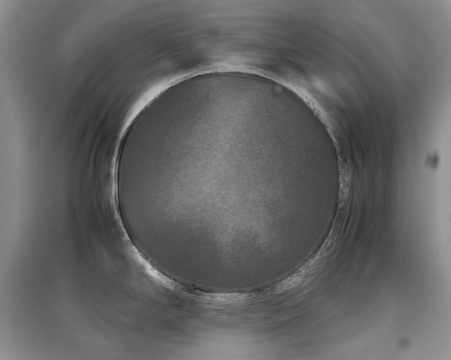 X0000097841294200803141159