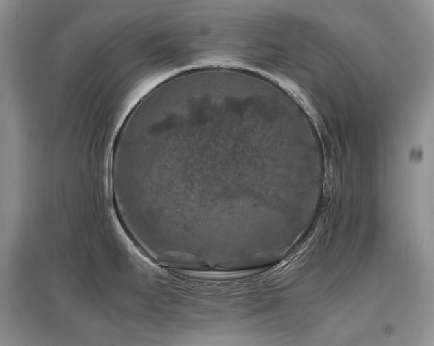 X0000097841295200803141159