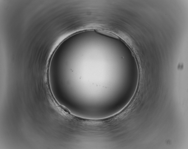 X0000097841296200803141159