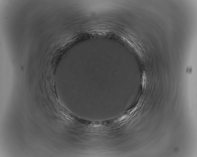 X0000097841297200803141159