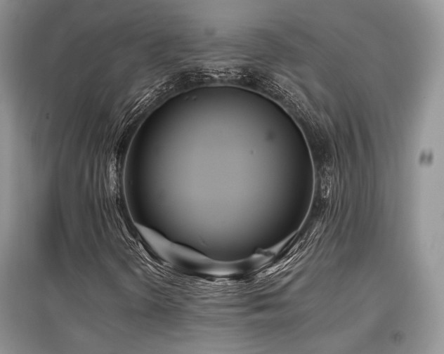 X0000097841298200803141159
