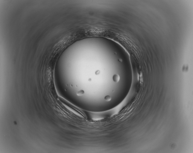X0000097841299200803141159