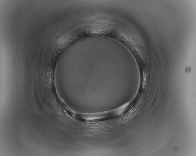 X0000097841300200803141159