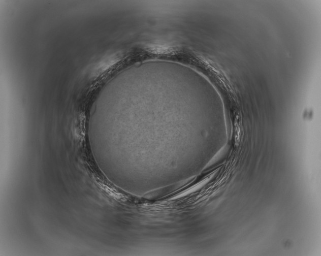 X0000097841301200803141159