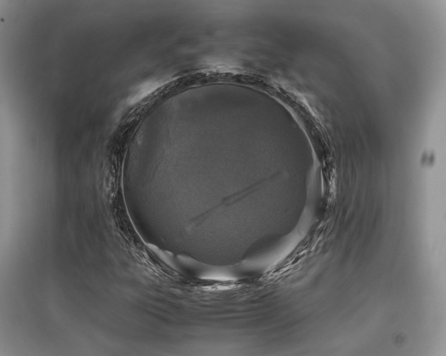 X0000097841303200803141159