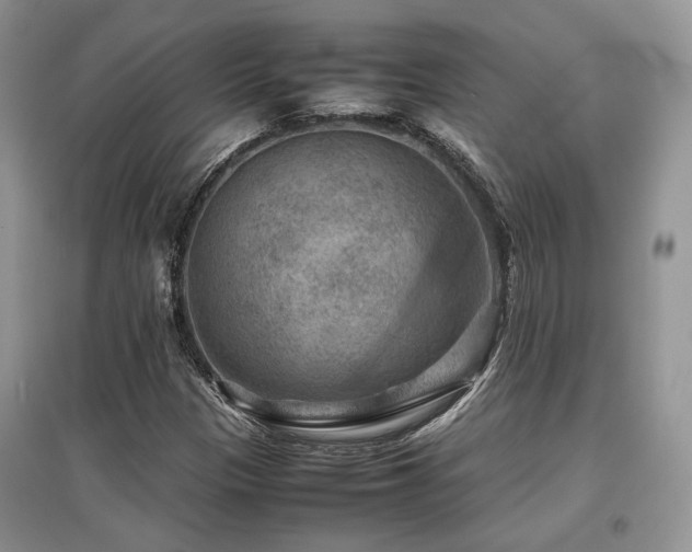 X0000097841305200803141159