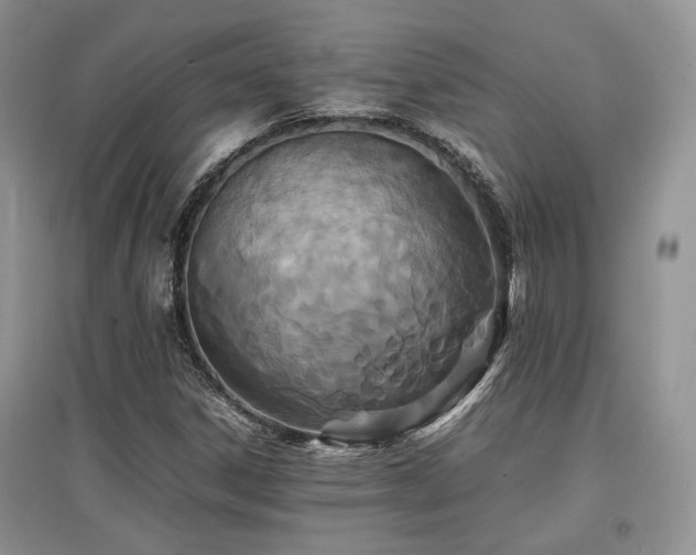X0000097841306200803141159