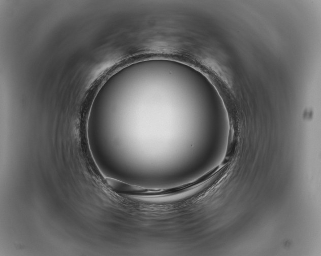 X0000097841307200803141159