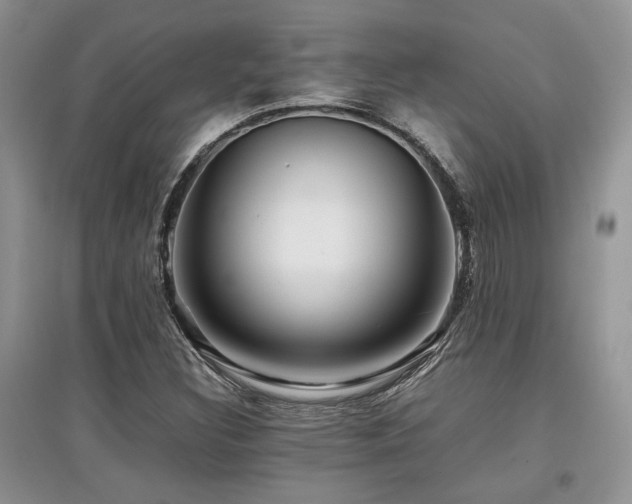 X0000097841308200803141159