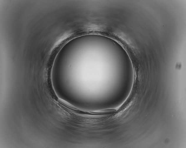 X0000097841309200803141159