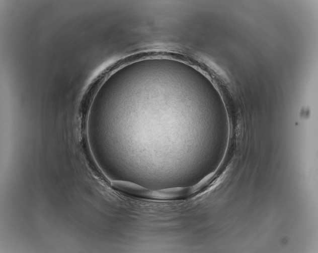 X0000097841310200803141159