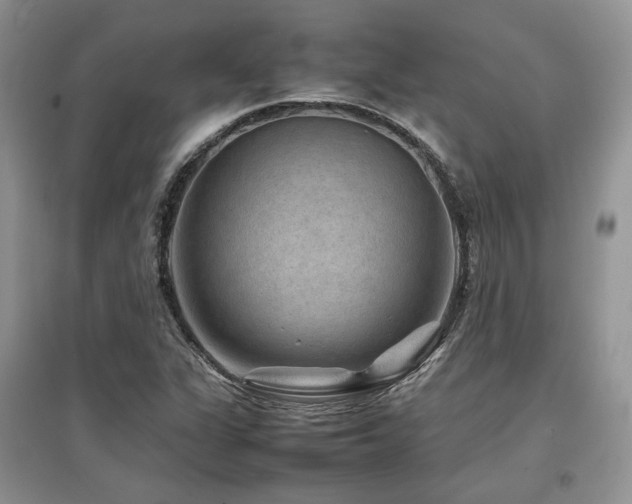 X0000097841311200803141159