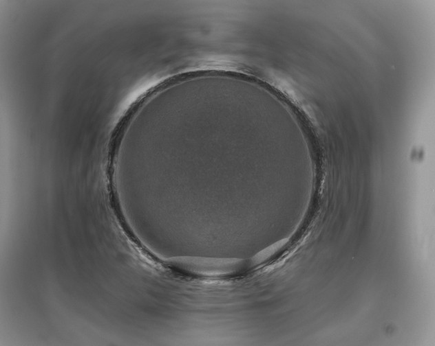 X0000097841312200803141159