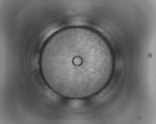 X0000097841314200803141159