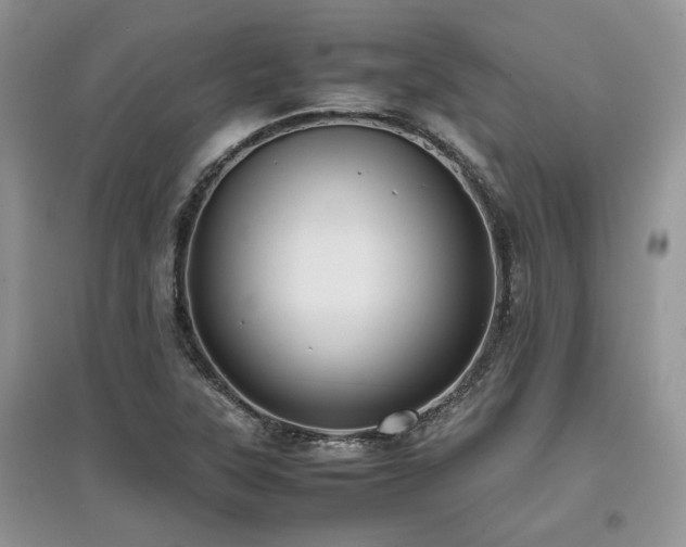 X0000097841315200803141159
