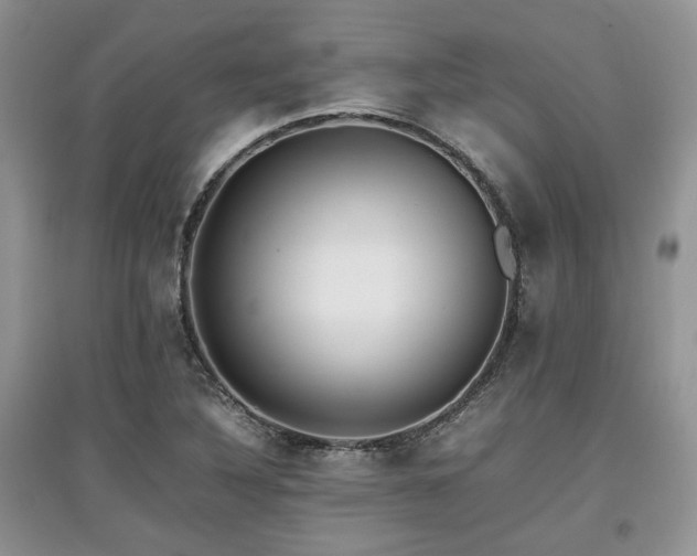 X0000097841316200803141159