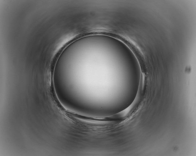 X0000097841317200803141159