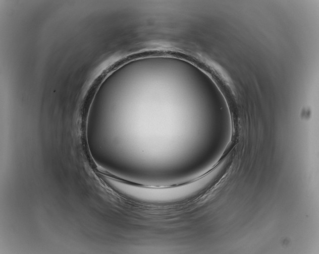 X0000097841318200803141159