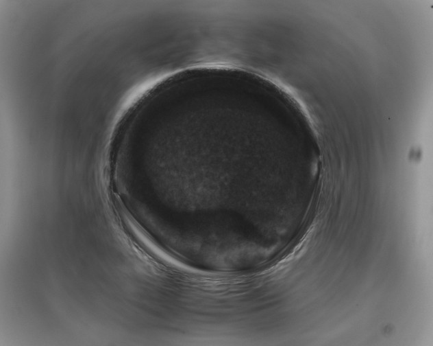 X0000097841319200803141159