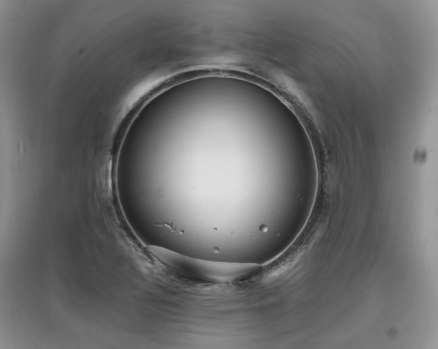 X0000097841320200803141159