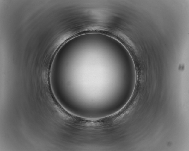 X0000097841321200803141159
