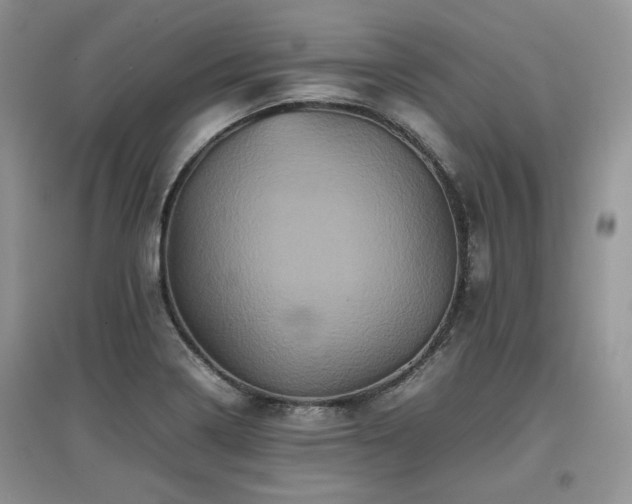 X0000097841322200803141159