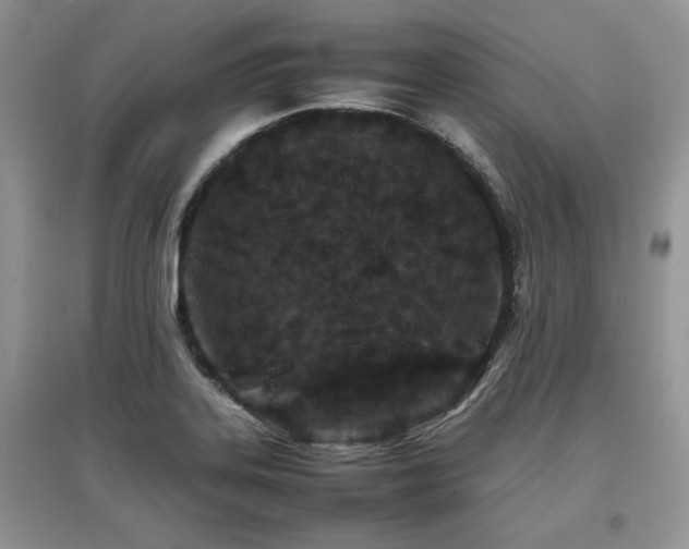 X0000097841323200803141159