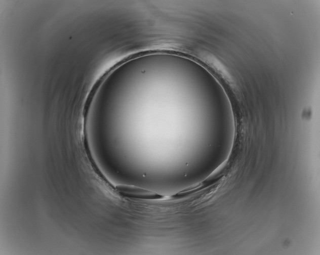 X0000097841324200803141159
