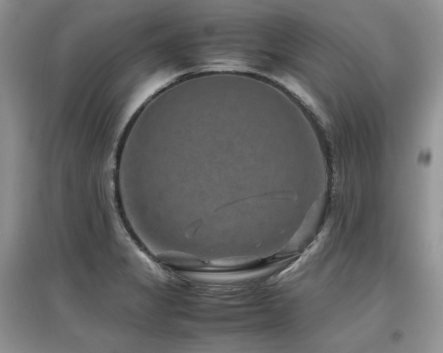 X0000097841325200803141159