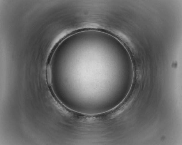 X0000097841326200803141159