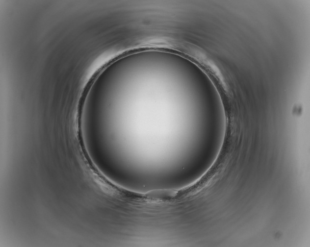 X0000097841328200803141159