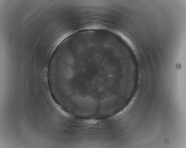 X0000097841329200803141159