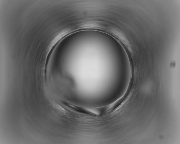 X0000097841330200803141159