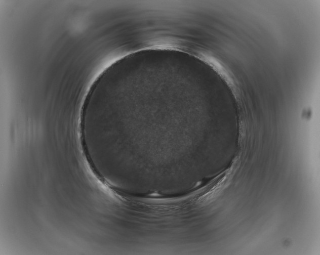 X0000097841331200803141159