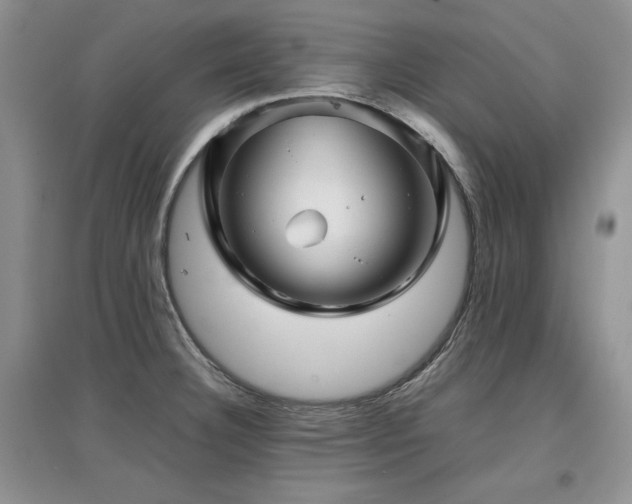 X0000097841332200803141159