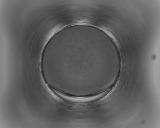 X0000097841333200803141159