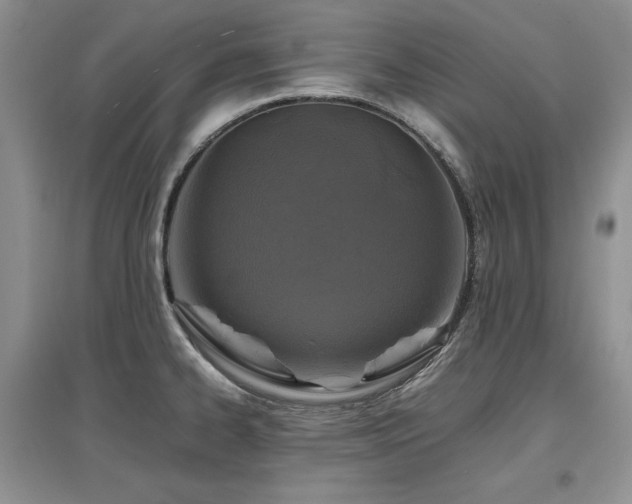 X0000097841334200803141159