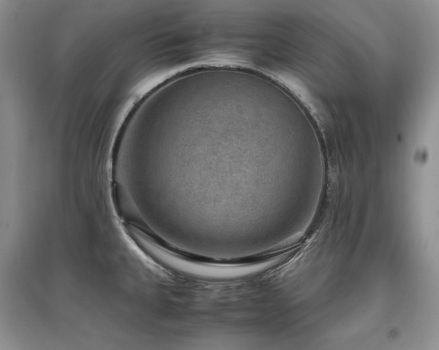 X0000097841335200803141159