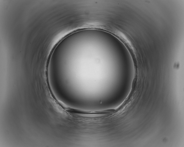 X0000097841336200803141159