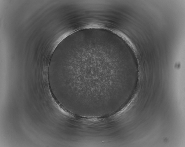 X0000097841337200803141159