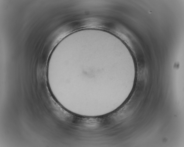 X0000097841338200803141159